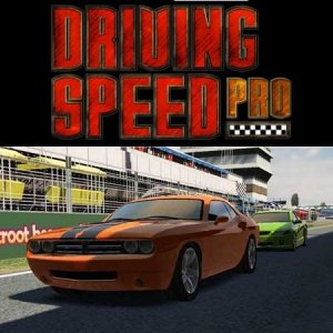 скачать игру бесплатно Driving Speed Pro (2010/ENG) PC