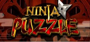 скачать игру Ninja Puzzle